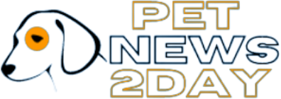 Potiki Pet Insurance Pets News
