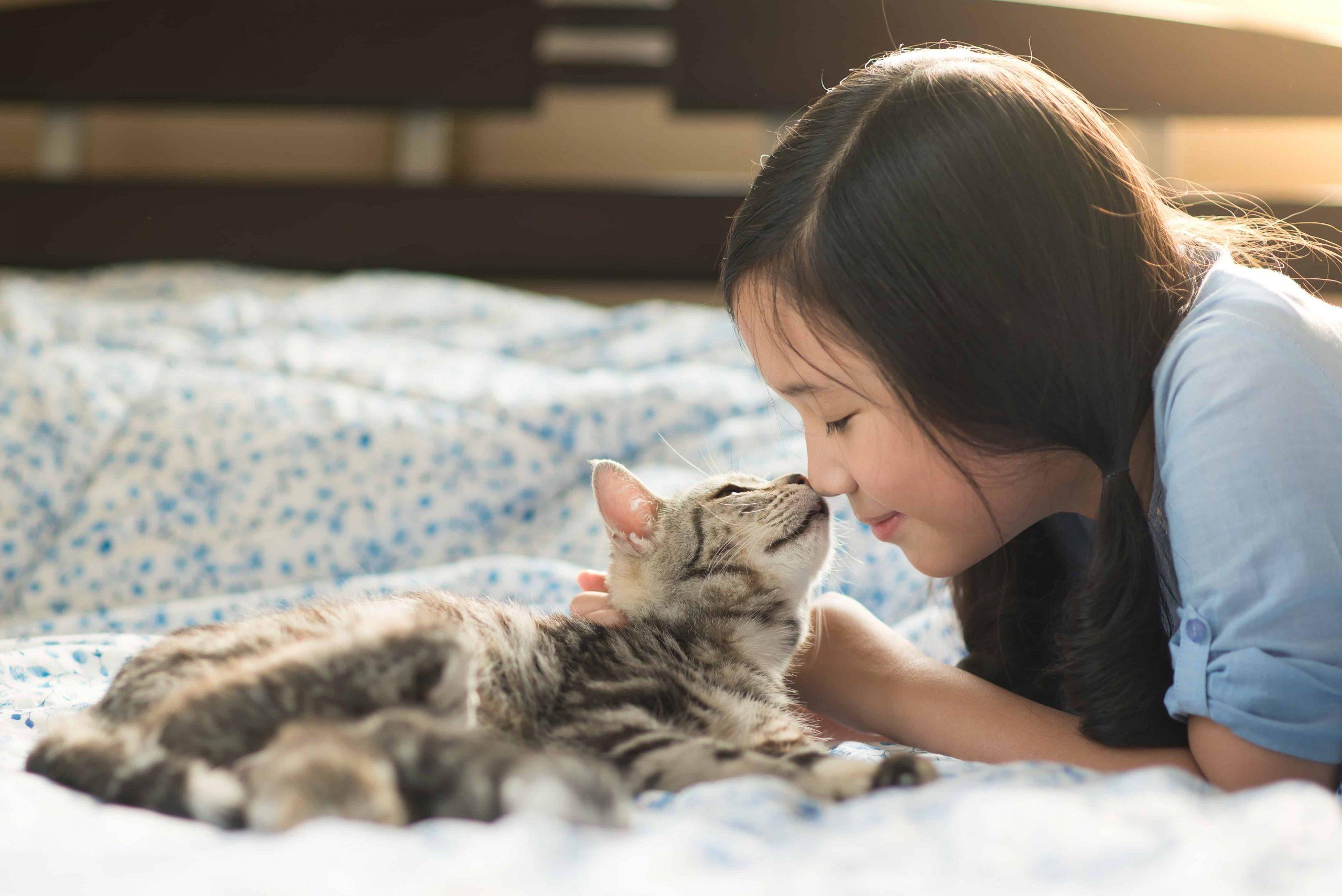 Girl touches cat face with her nose on a bed