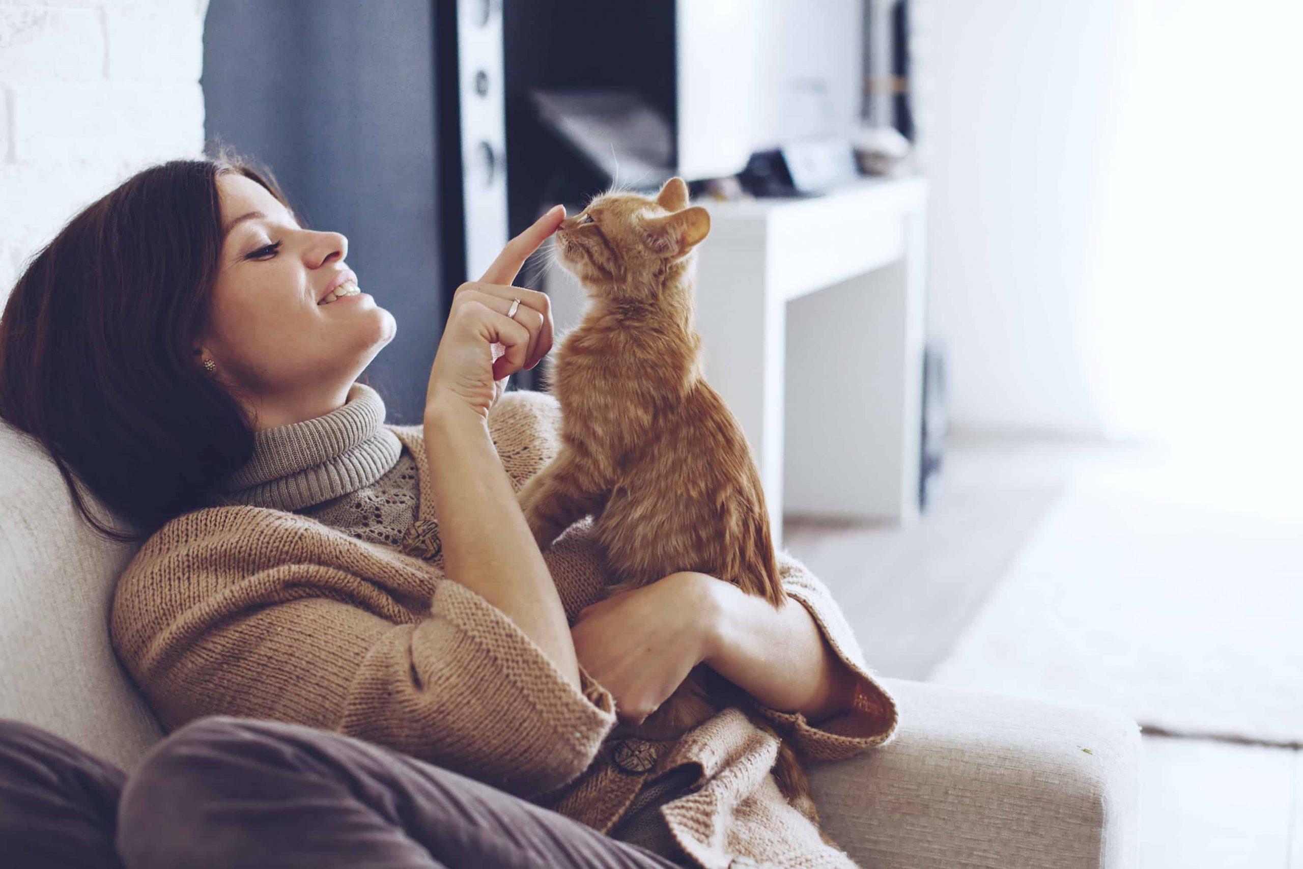Pet Insurance vs Savings Account - a lady with a brown cat image