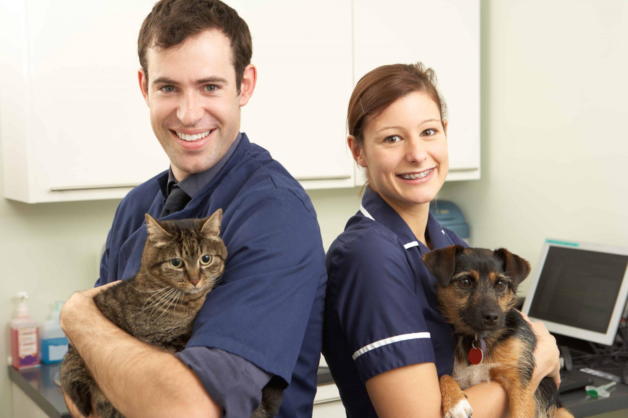 Is pet Insurance a waste of Money - two doctors one with a cat and the other with a dog