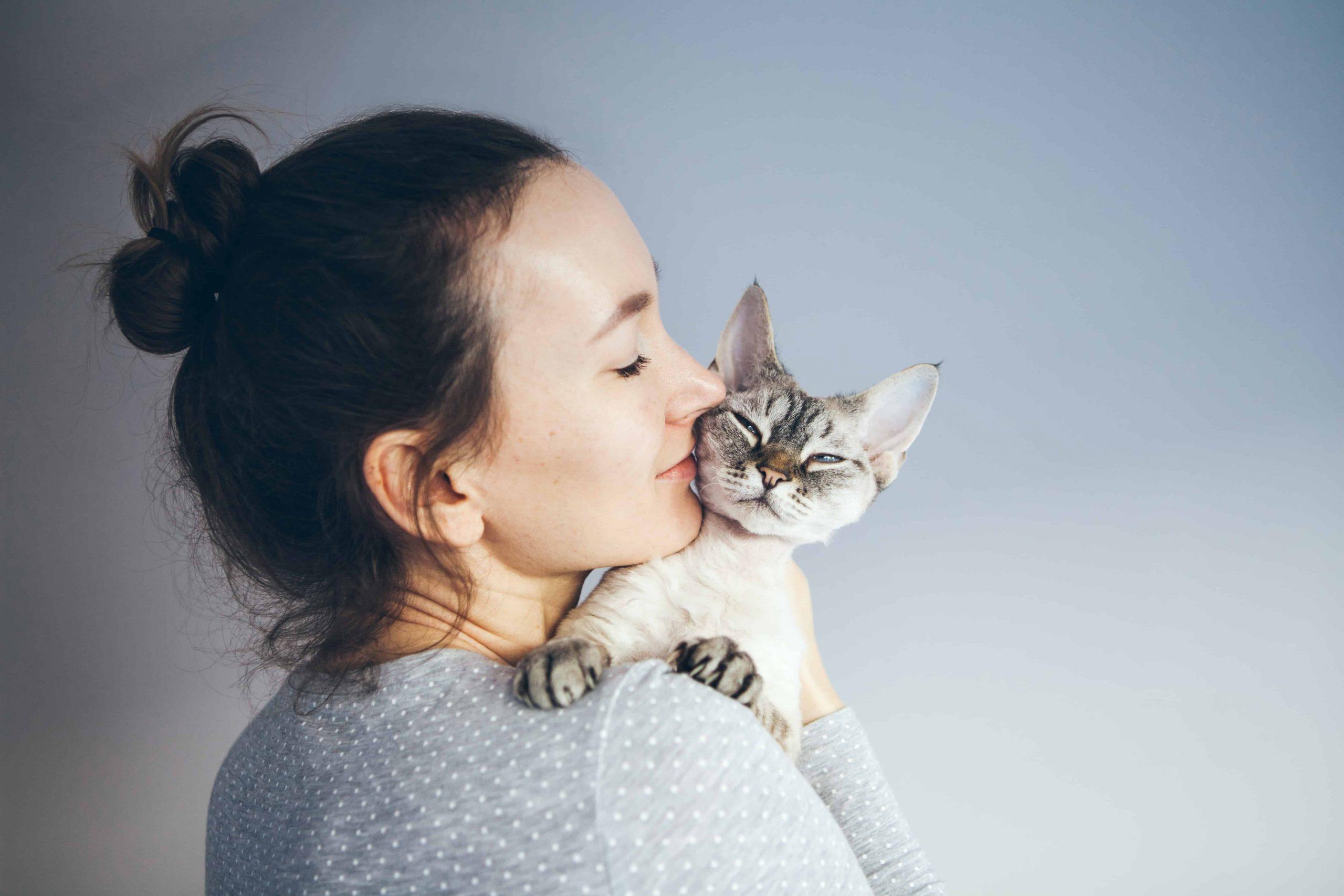 lethargy in cats - cat caressing with a woman