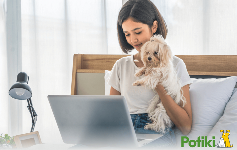 Affordable Pet Insurance   Image 1 768x486 