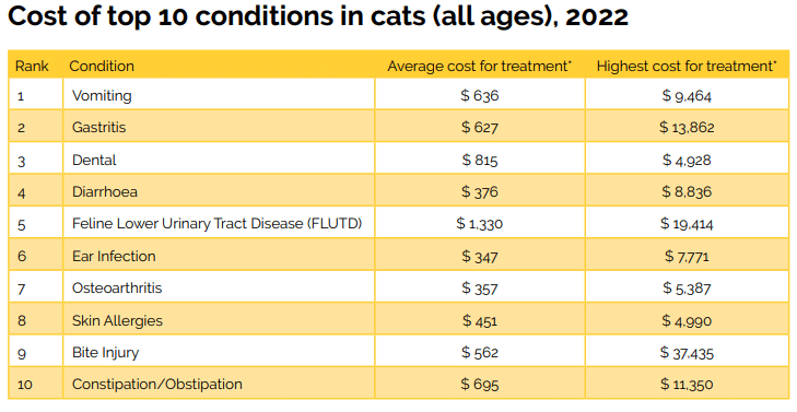 Cost of top 10 everyday conditions in cats