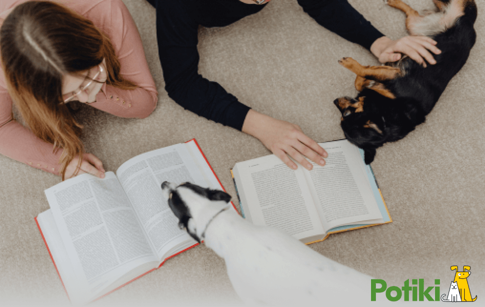 Students playing with dogs