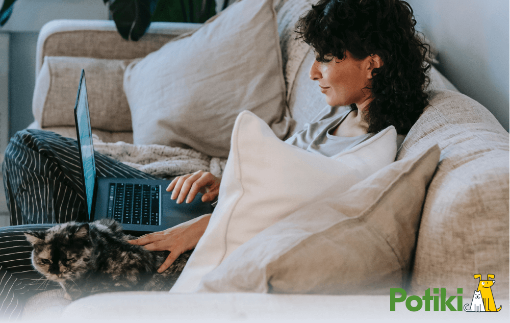 Best Pet Insurance - Women patting cat while researching on laptop