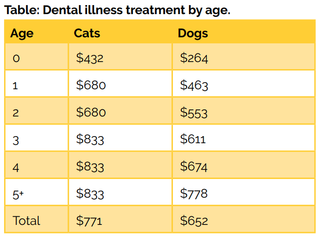 Dental Image treatment cost of dogs and cats with different ages