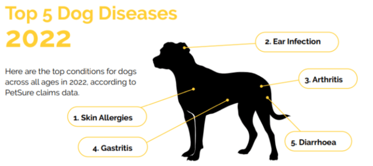 Top 5 everyday dog diseases