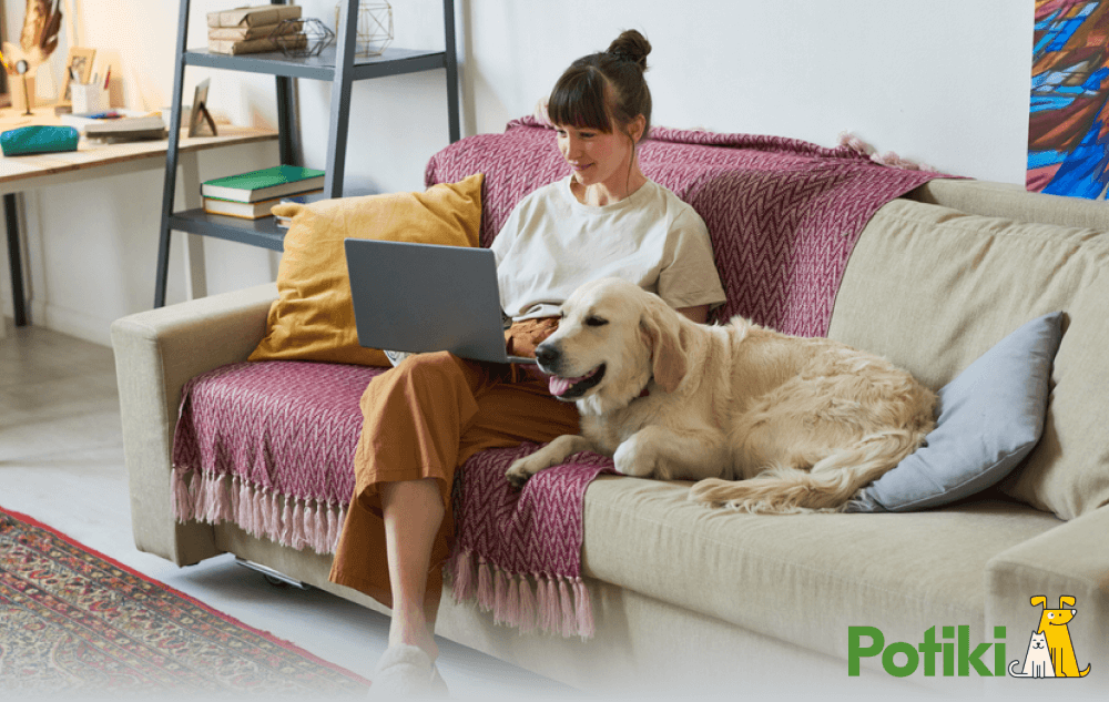 Working women sitting with her dog on a couch