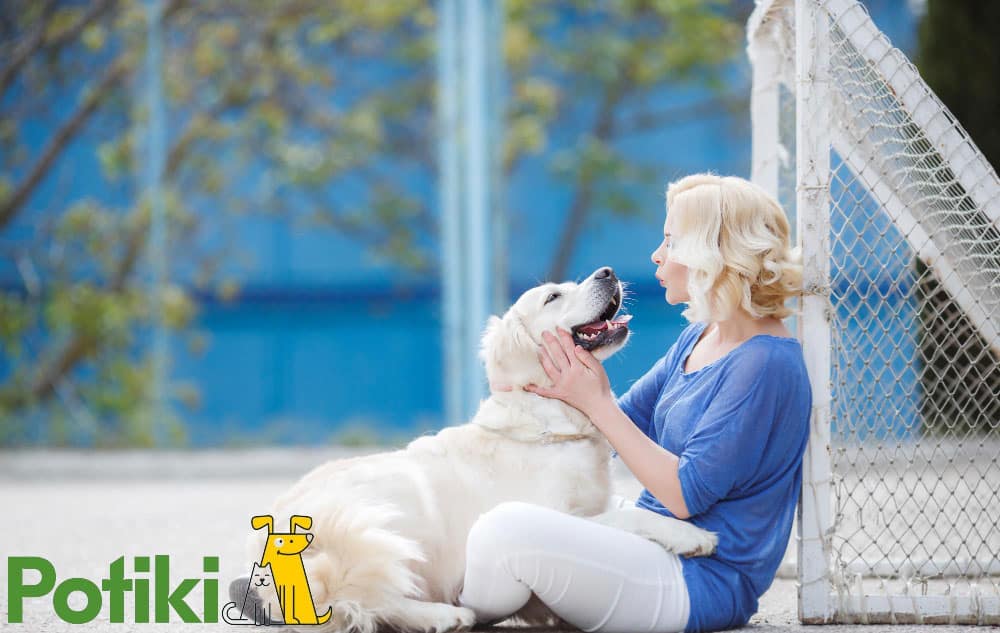 Importance of Pet Insurance for Your Dog: Protecting Your Furry Friend if You are Dog Walking