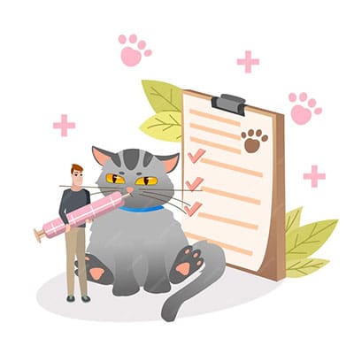 cat insurance benefits