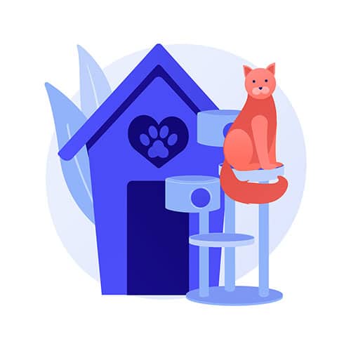 cat insurance comparison