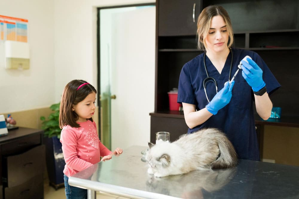 indoor cats vaccination coverage