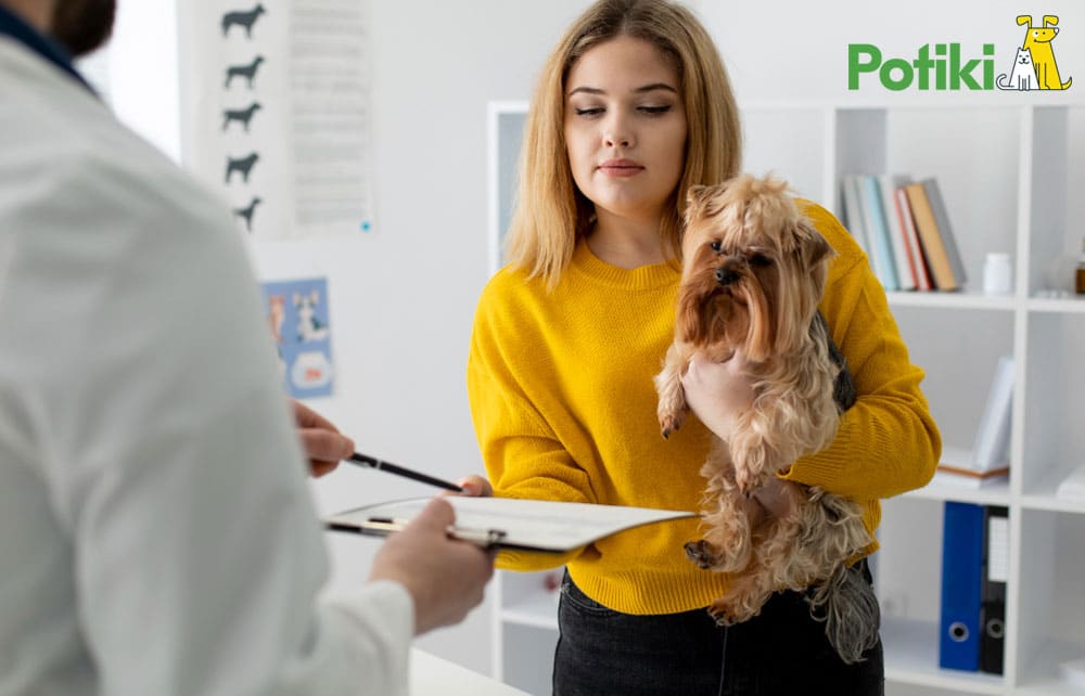vet insurance providers for dogs
