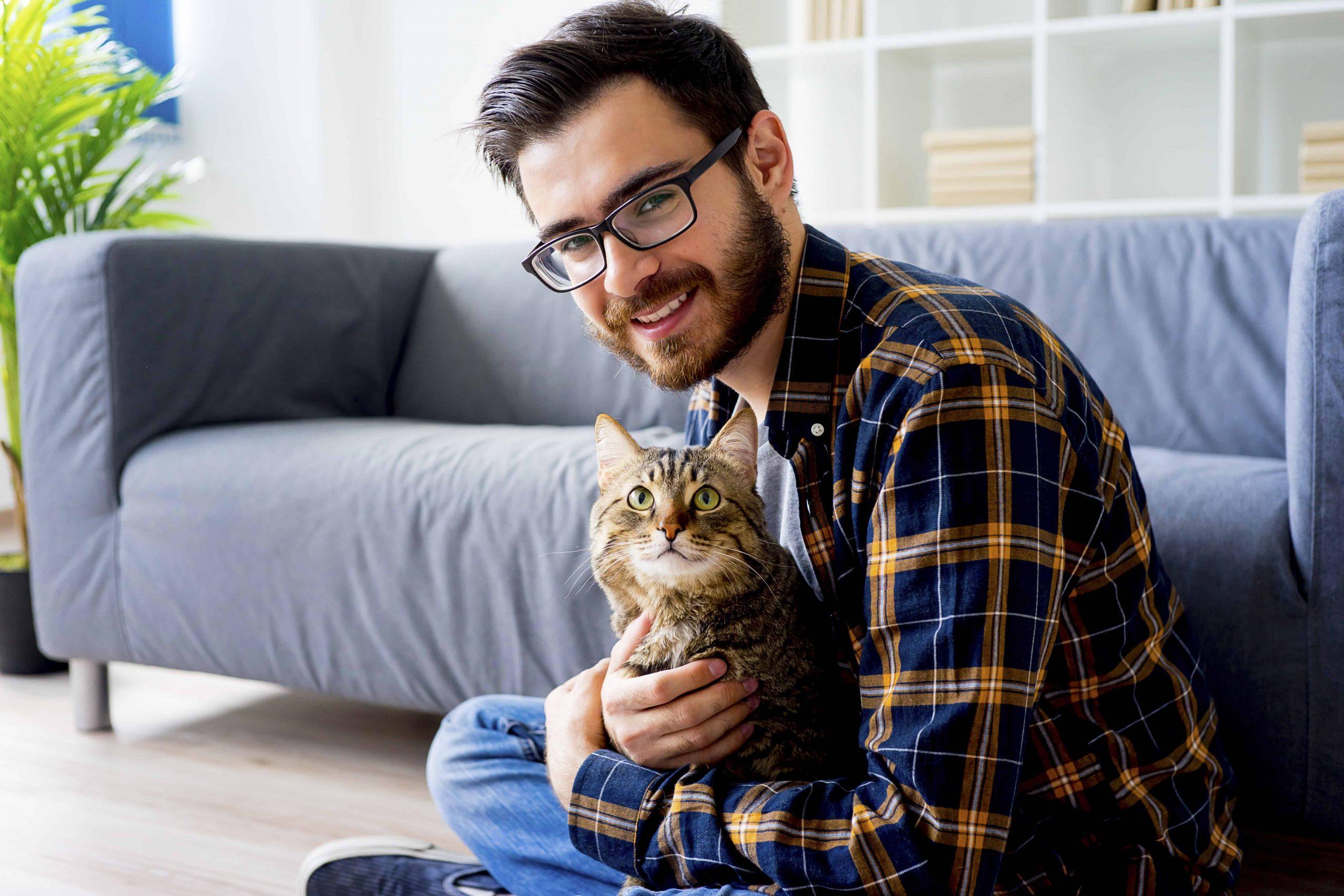 symptoms of a snake bite in cats - brown cat with man