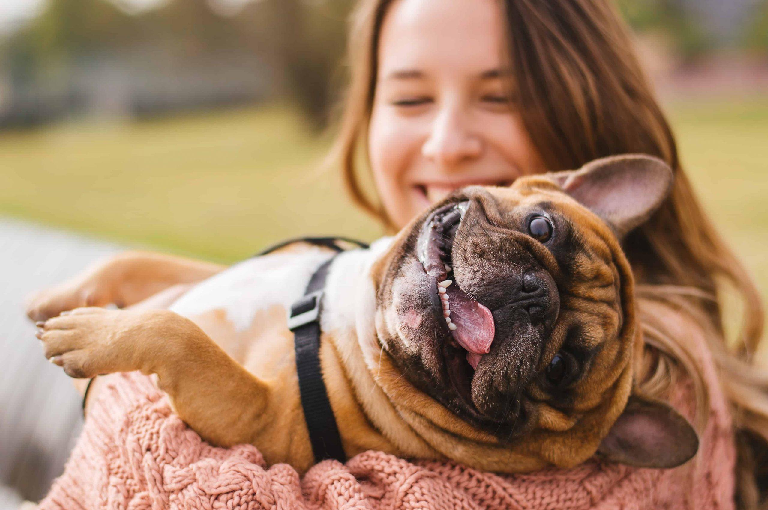 Pet Insurance Cost - Dog with lady