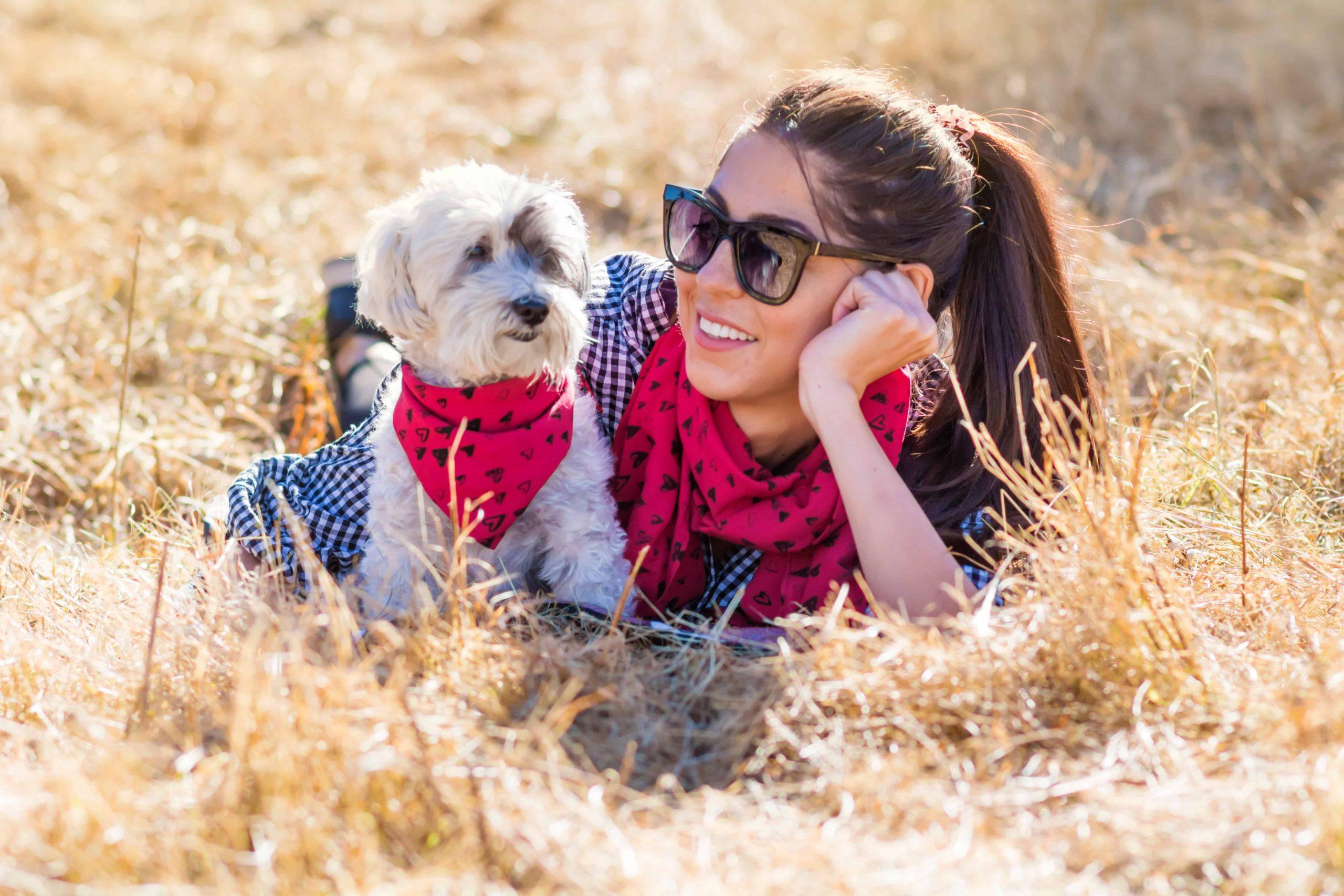 Havanese dogs health problems - dog with girl