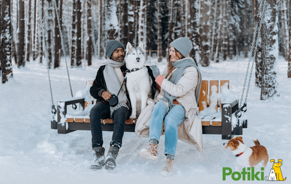 best dog insurance Australia