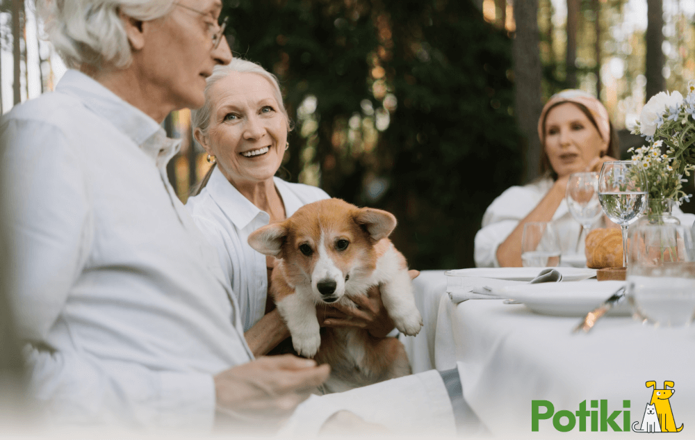 Dog with elderly women