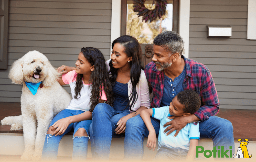 Is Pet Insurance Worth It Image 2 Family with Cavoodle Is Pet Insurance Worth It Image 2 Family with Cavoodle