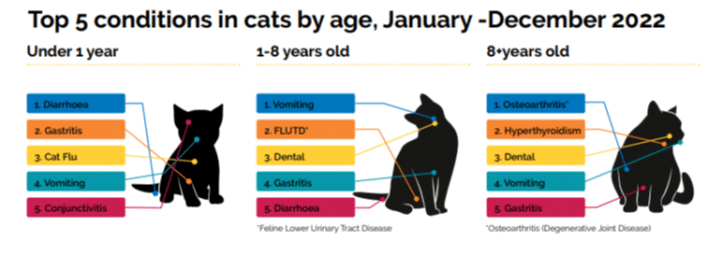 Top 5 conditions in cats by age Top 5 common conditions in cats in different ages