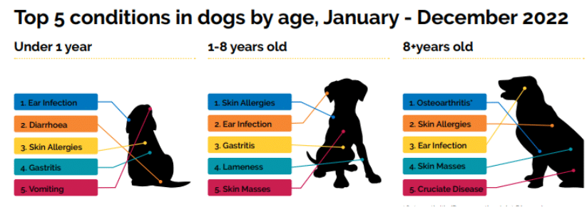 Top 5 conditions in dogs by age Top 5 common conditions in dogs in different ages