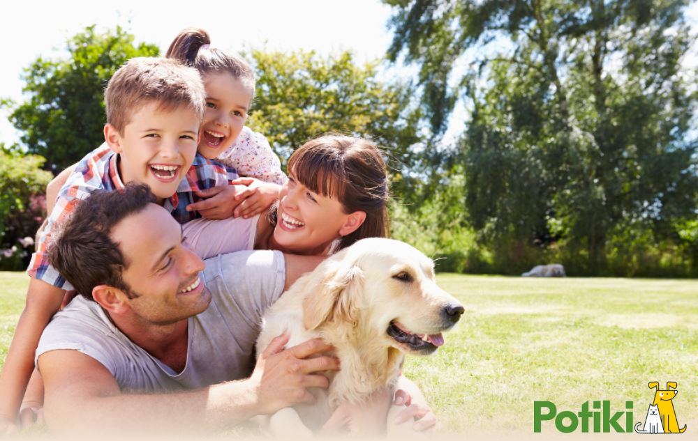 is pet insurance worth it Family with Labrador
