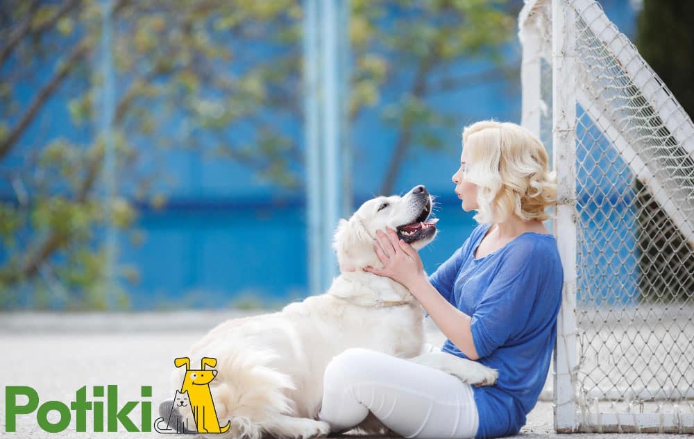 pet insurance for dog