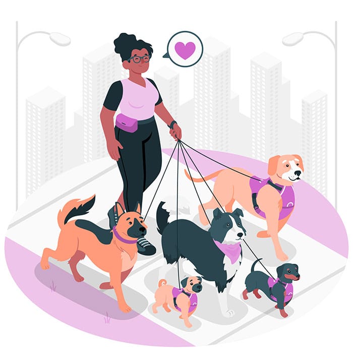 pet insurance for your dog