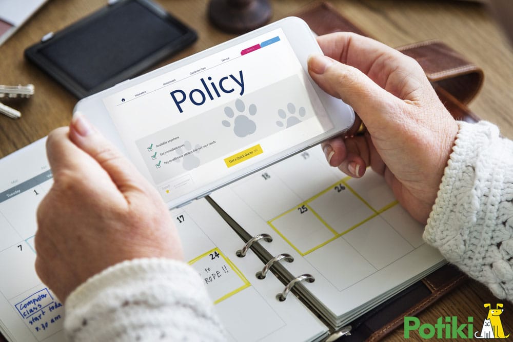 animal health insurance policy for dogs