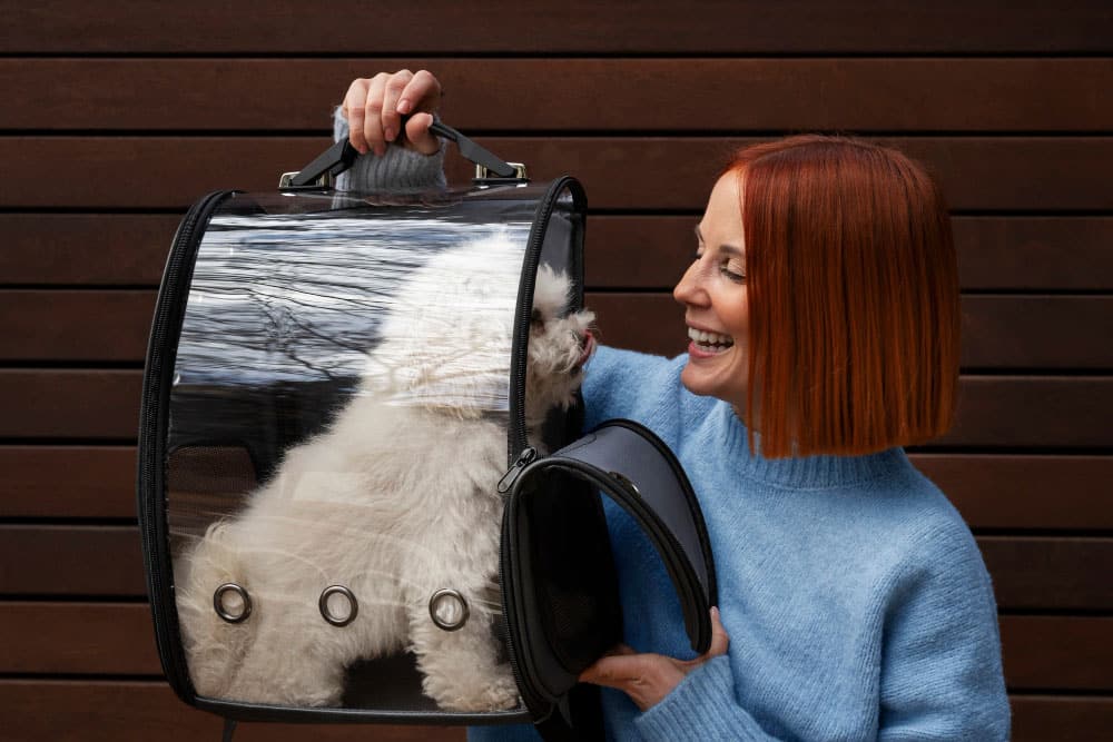 cat insurance costs