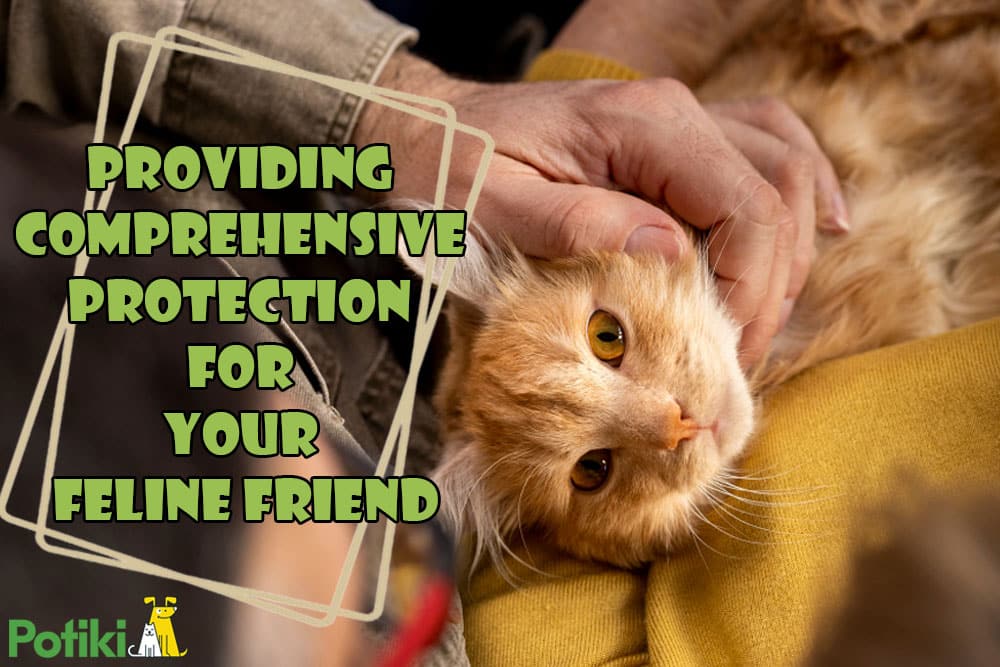 comprehensive protection