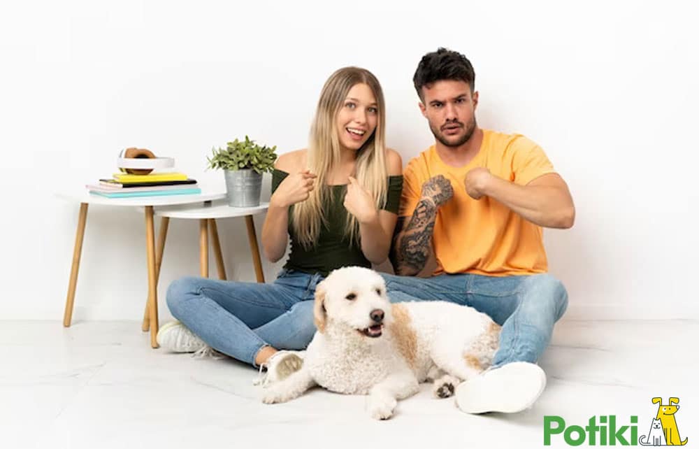 vet insurance plans