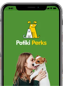 app view