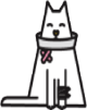 comprehensive cover cat image n