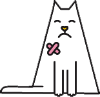 po cat new