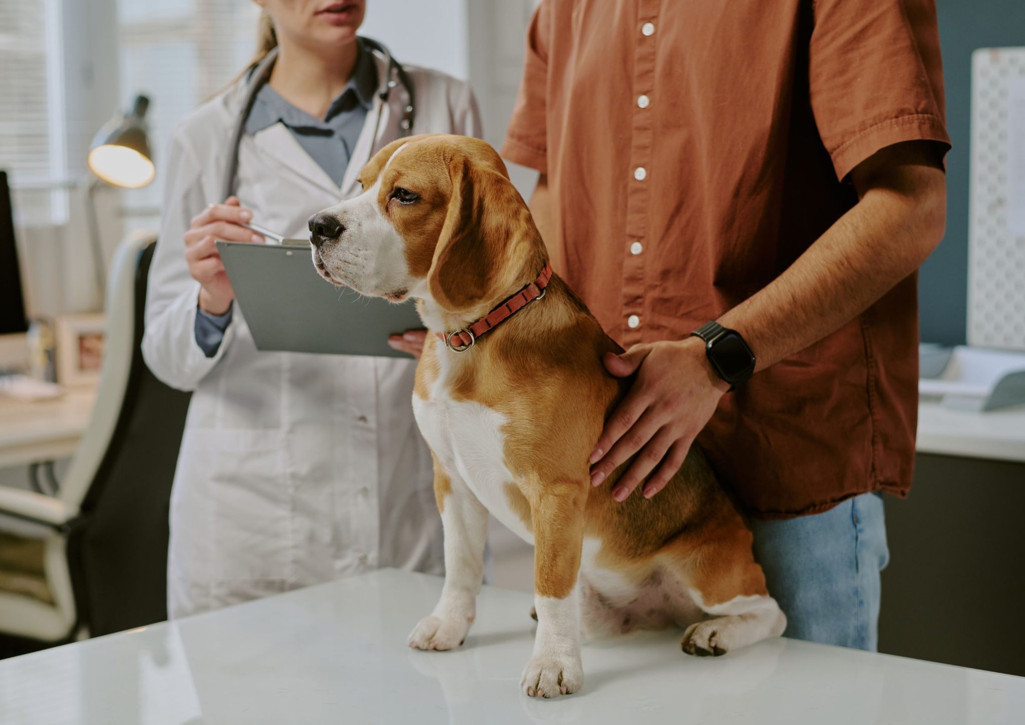 Managing Vet Cost