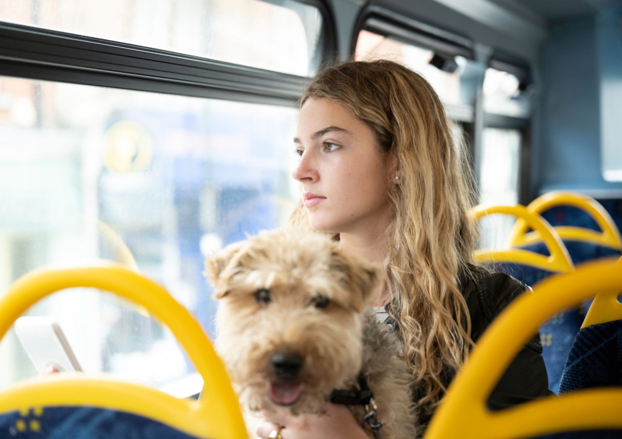 Pets and Public Transport