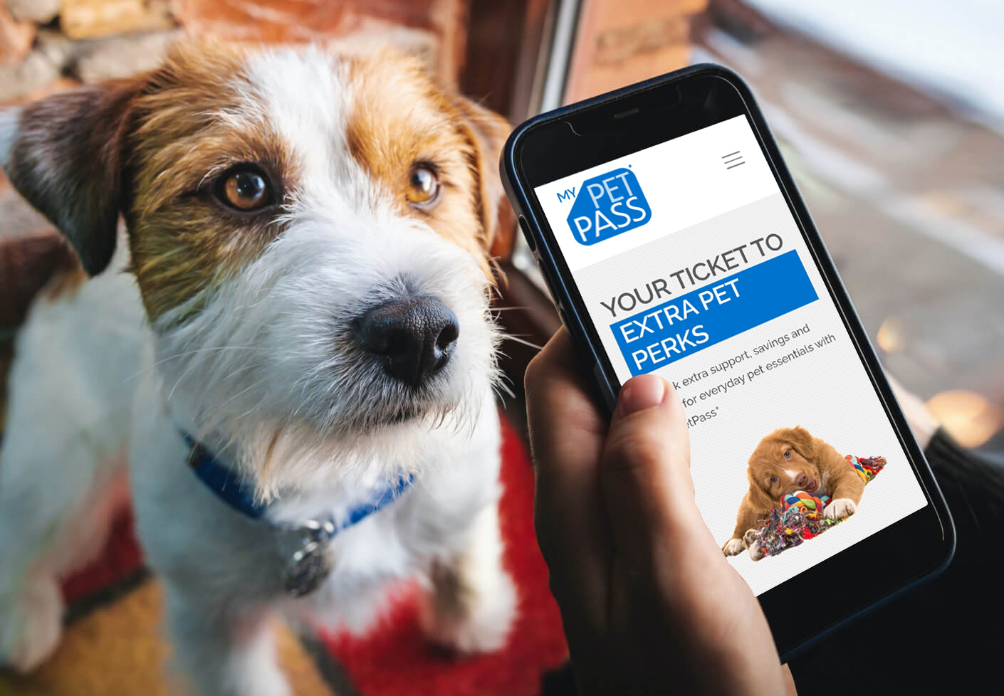 mypetpass and perks new