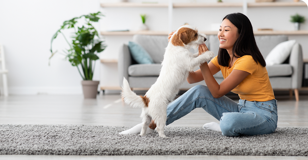 shutterstock 2310295777 2