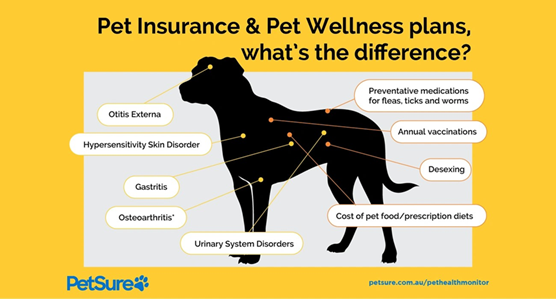 Cost Breakdown and Budgeting Impact
