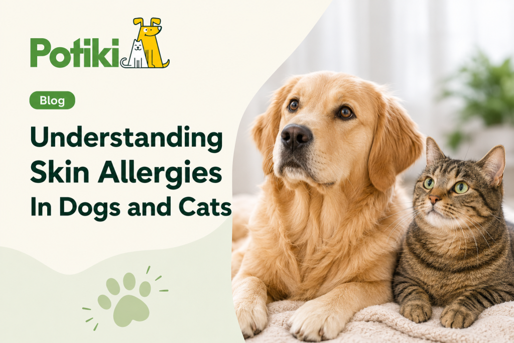 Skin Allergies