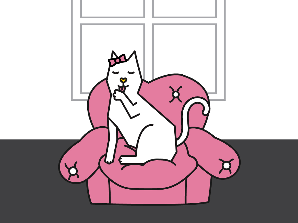 6AM3001 R F 1024x768 Diva